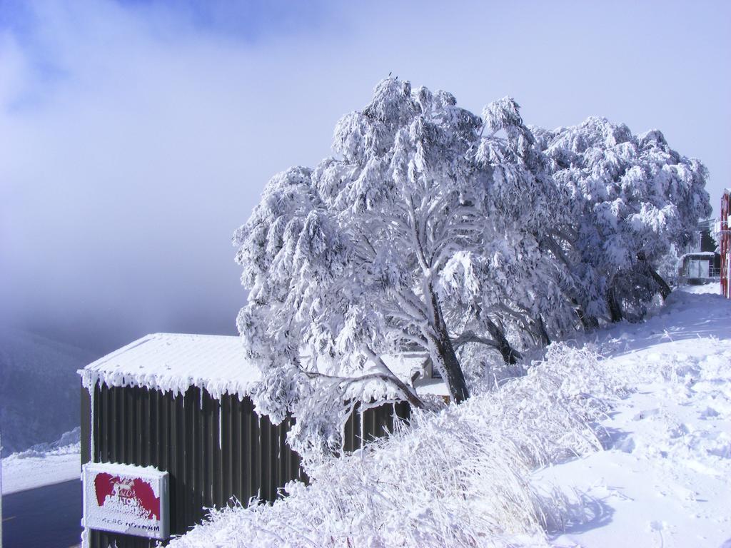 Arlberg Hotham Villa Mount Hotham Eksteriør bilde